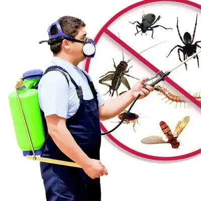 pest control Florham Park